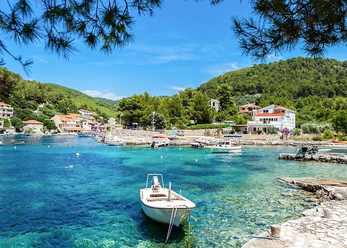 Pet Friendly In With Wifi